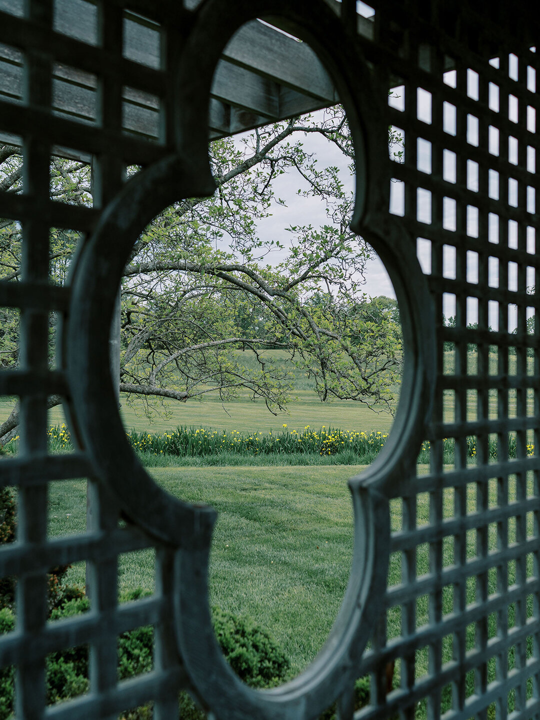 KathleenRob5-3-25GlenstoneGardenVA-VickiGraftonPhotography-28