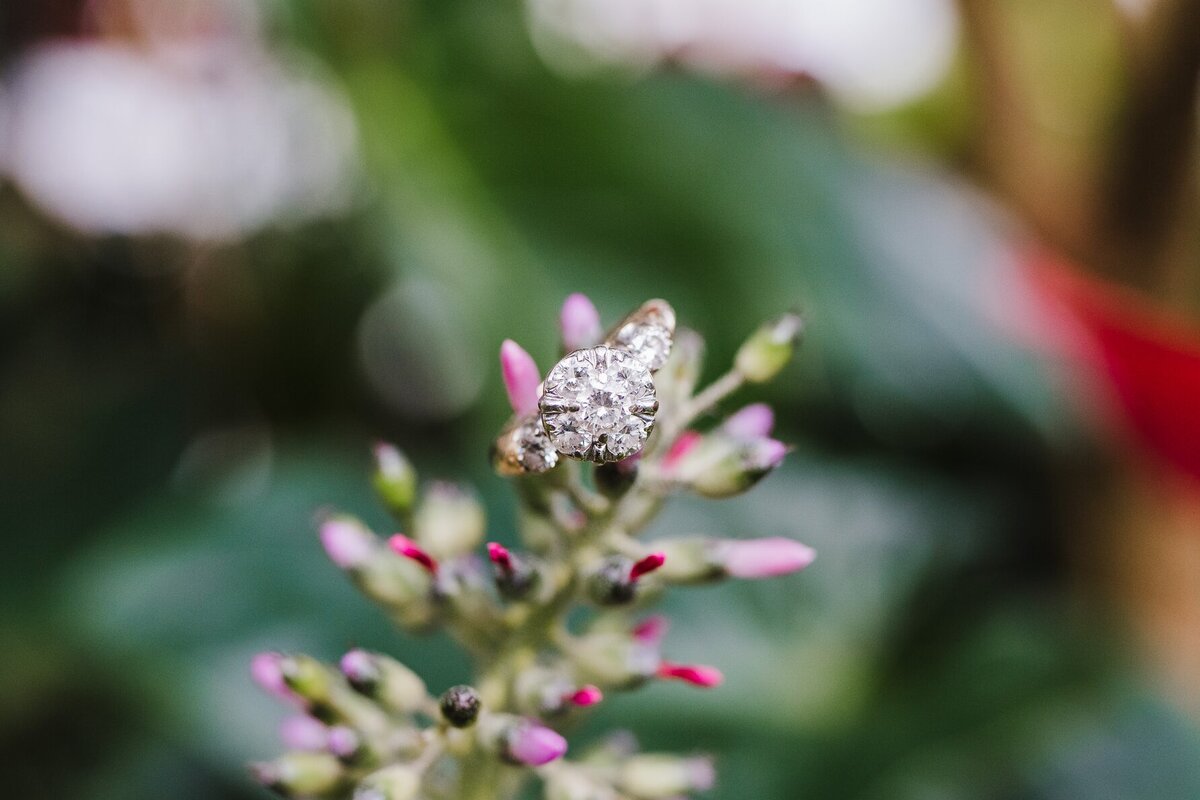 Kayla Susie Photography Greenville Wedding Photographer00154