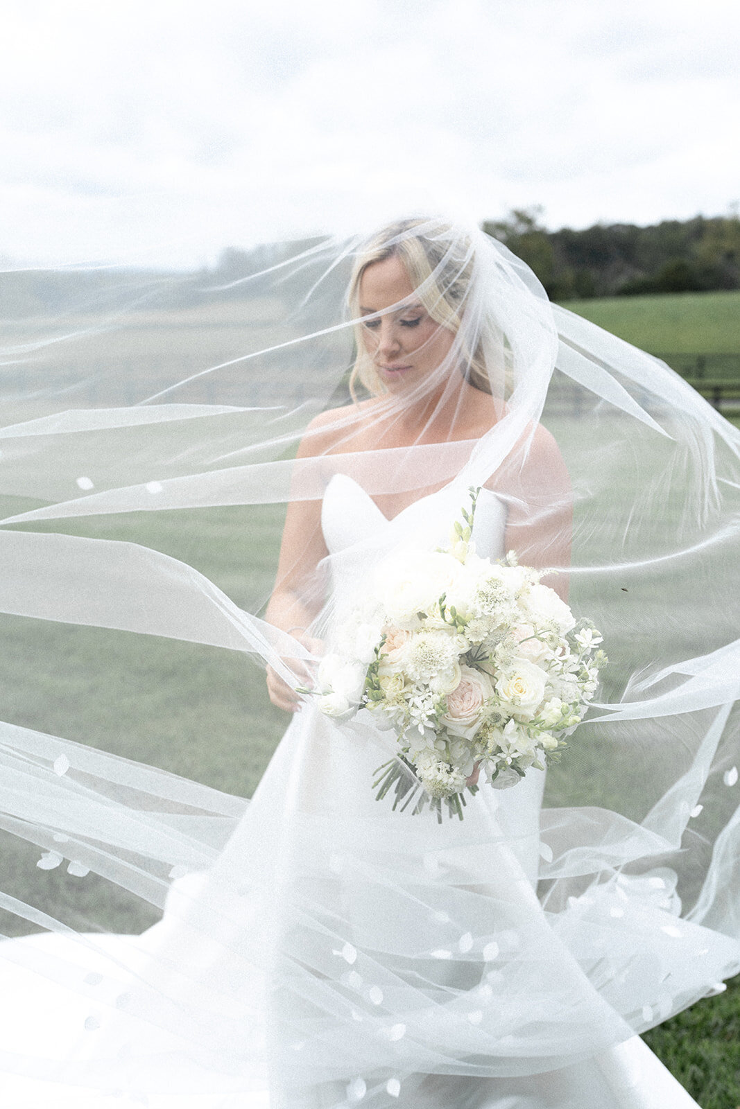 Elizabeth and Brian Wedding-774
