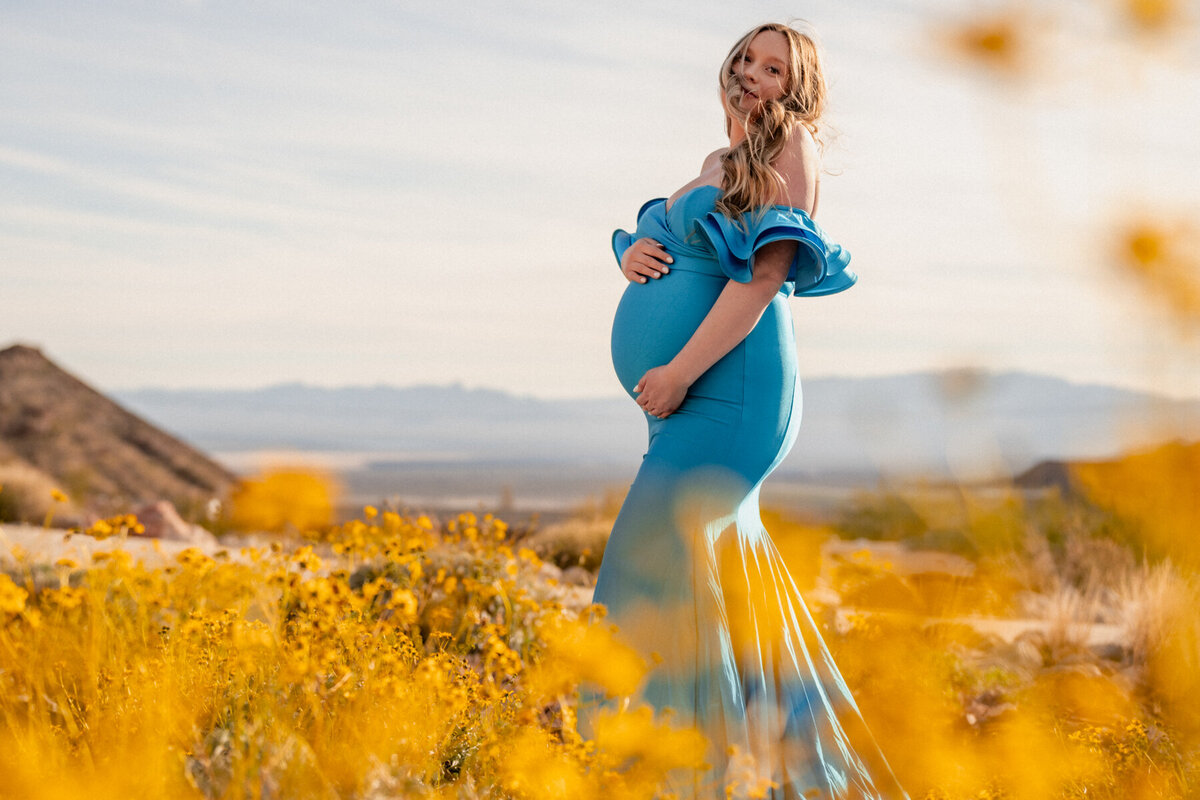las-vegas-maternity-photographer-resized-1