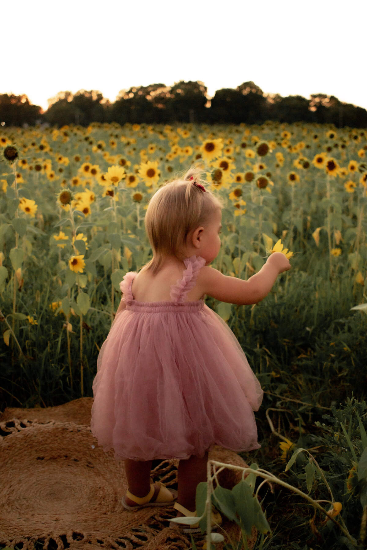 Indiana Family Photography _ Abby & Jonah Summer 23-008