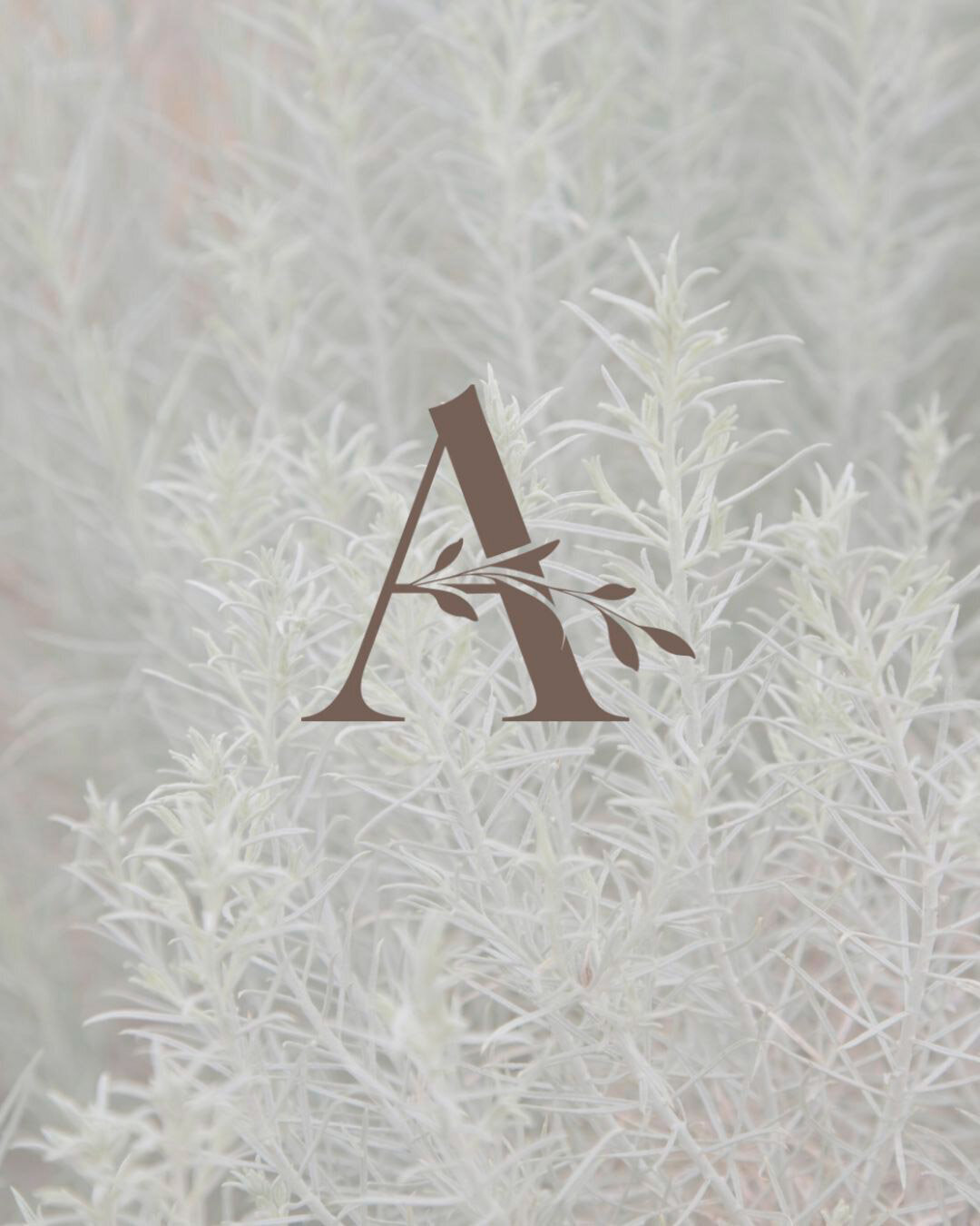 baer-brand-studio-amanda-g-brandmark-logo-foundation-package