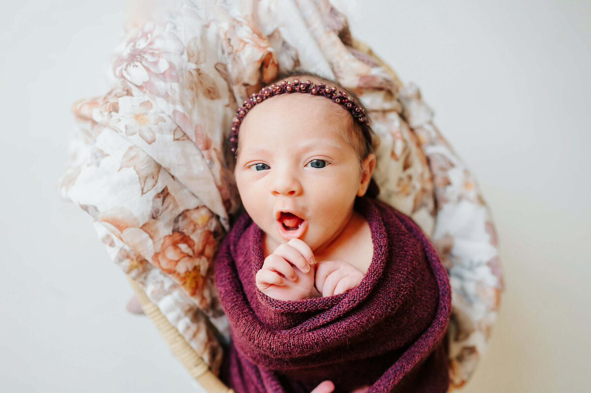 springfield-mo-newborn-photographer-213