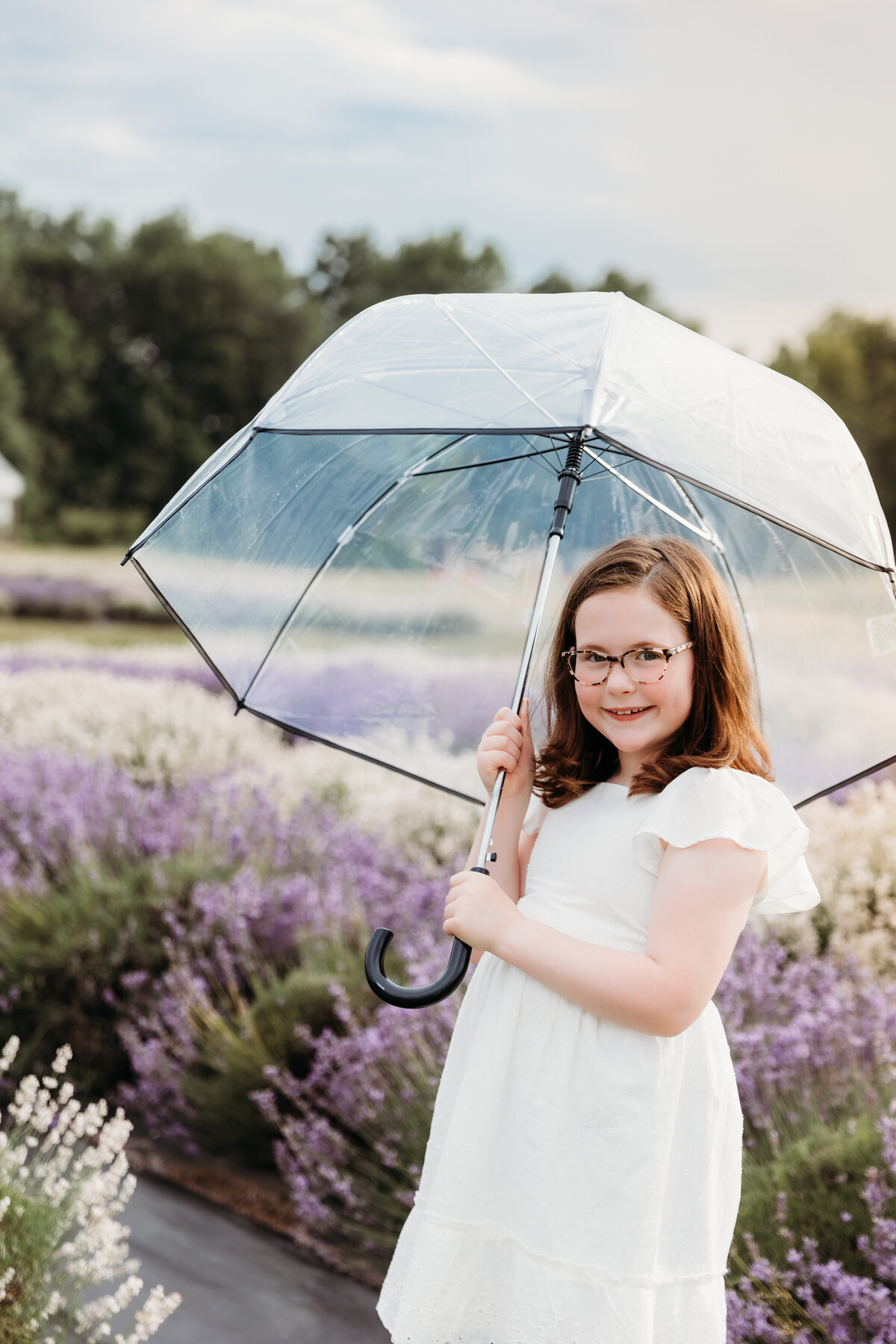 Lavender-6311