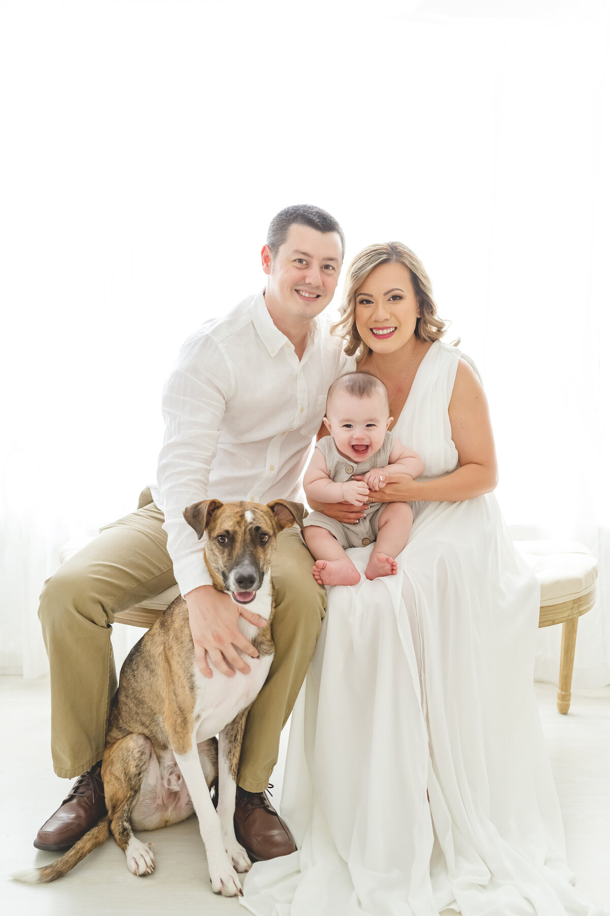 Phoenix family photographer baby and dogs