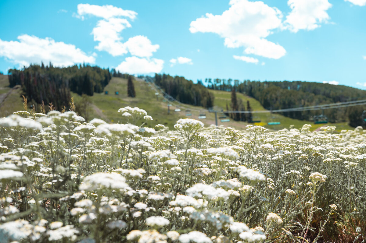 low res portfolio 2025-4