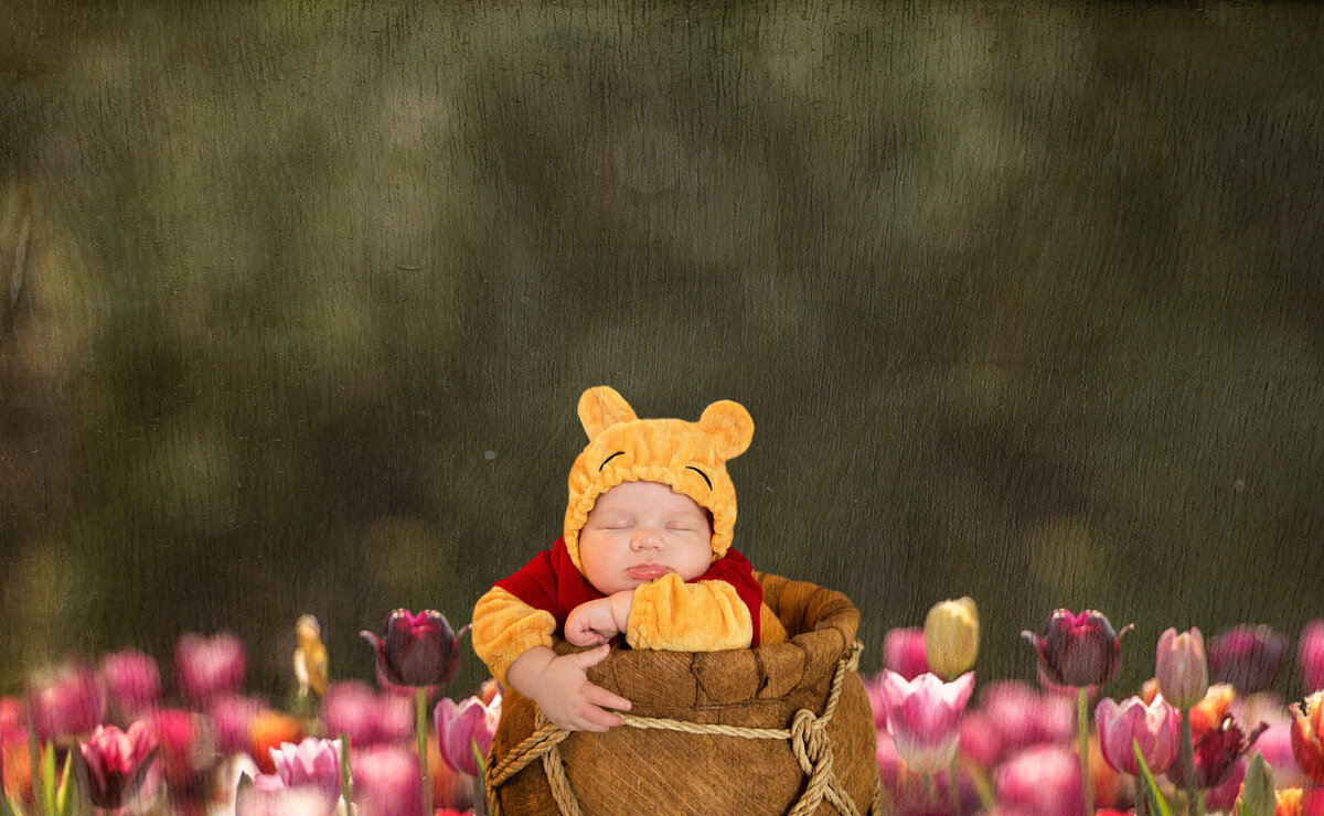 Pooh2