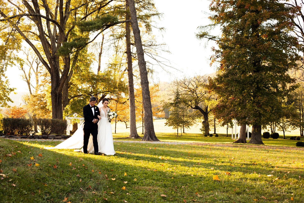 wedding and engagement photographer in washington dc
