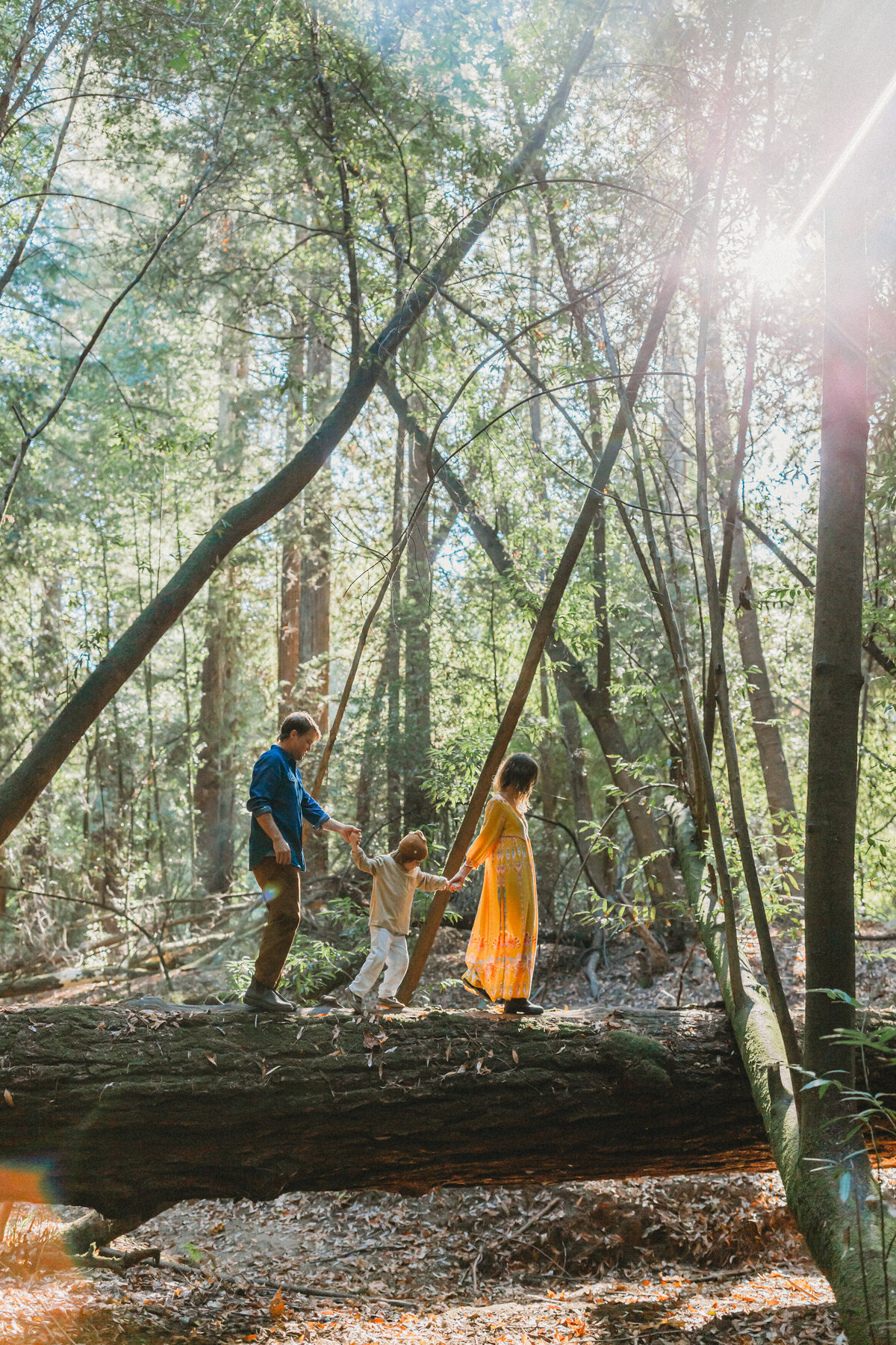skyler maire photography - henry cowell family photos, redwood family photos, bay area family photographer, san francisco family photographer-4429