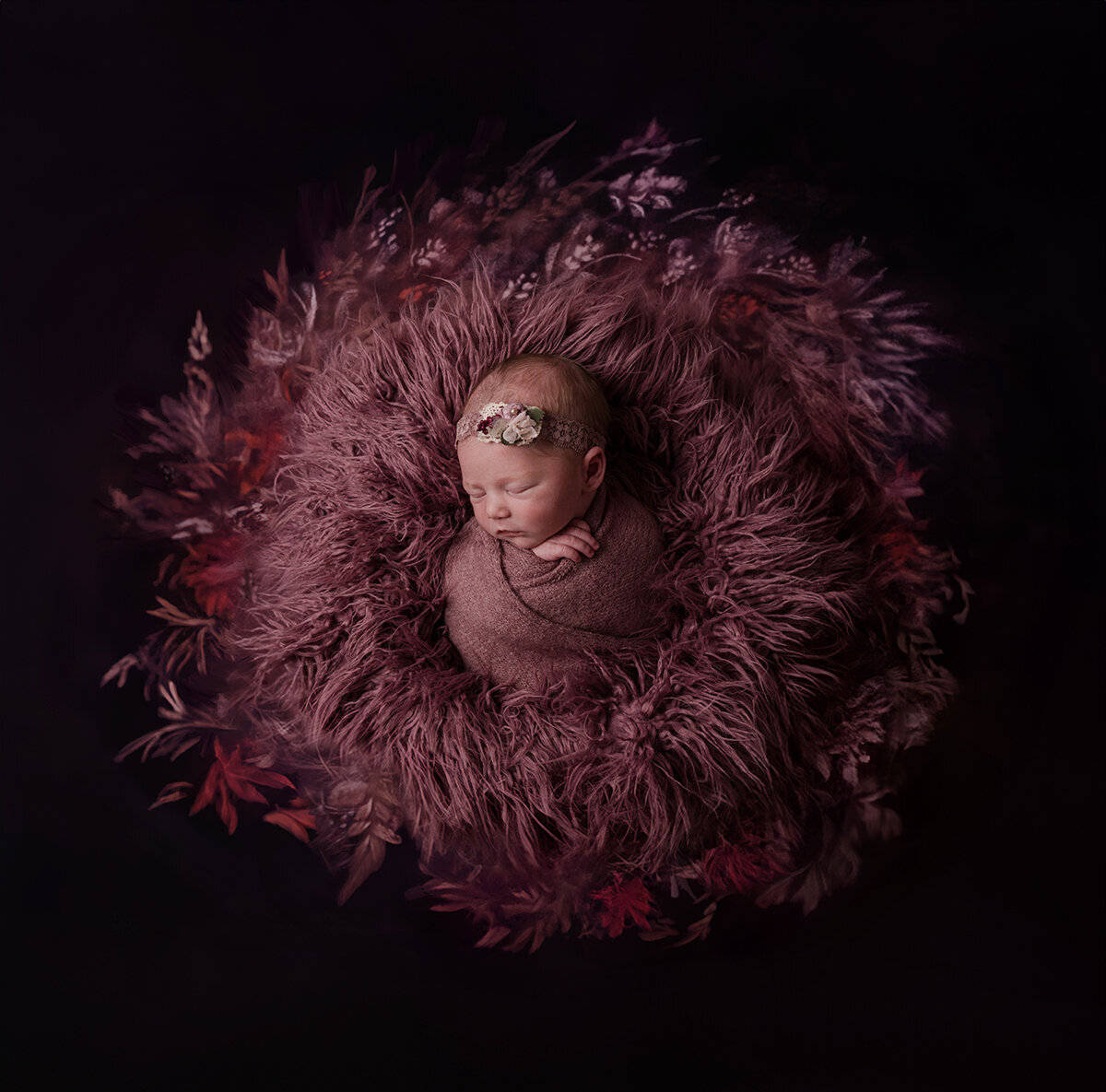Baby Mia W Newborn Photos-1139