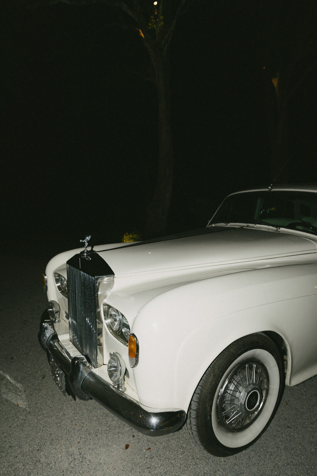 CHARLESTON WEDDING | MEGAN + TYLER