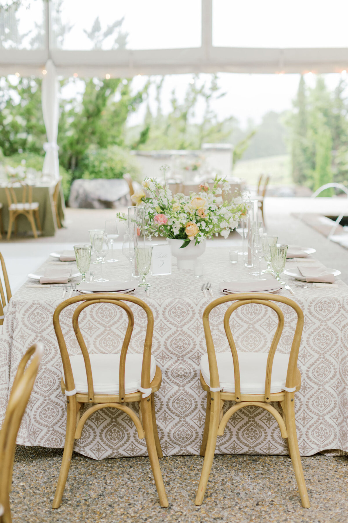 TattolliHighlights-HaleyJanePhotography21