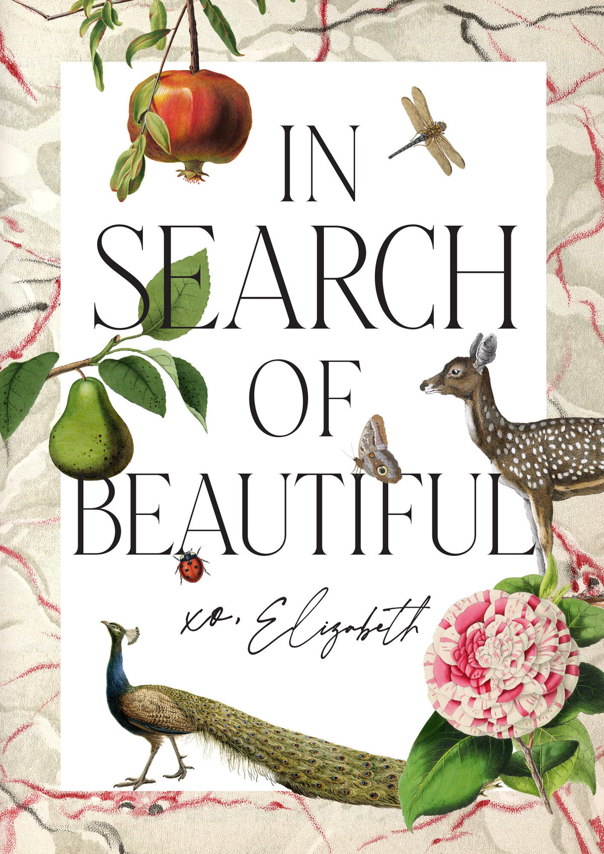 Elizabeth-Stuart-In-Search-of-Beautiful