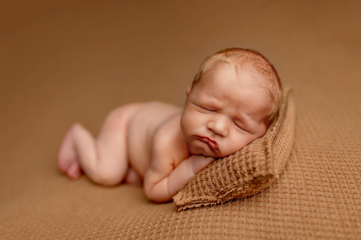 best NWA newborn portraits, newborn photoshoot near me, Northwest Arkansas newborn portrait studio, best NWA baby photographer