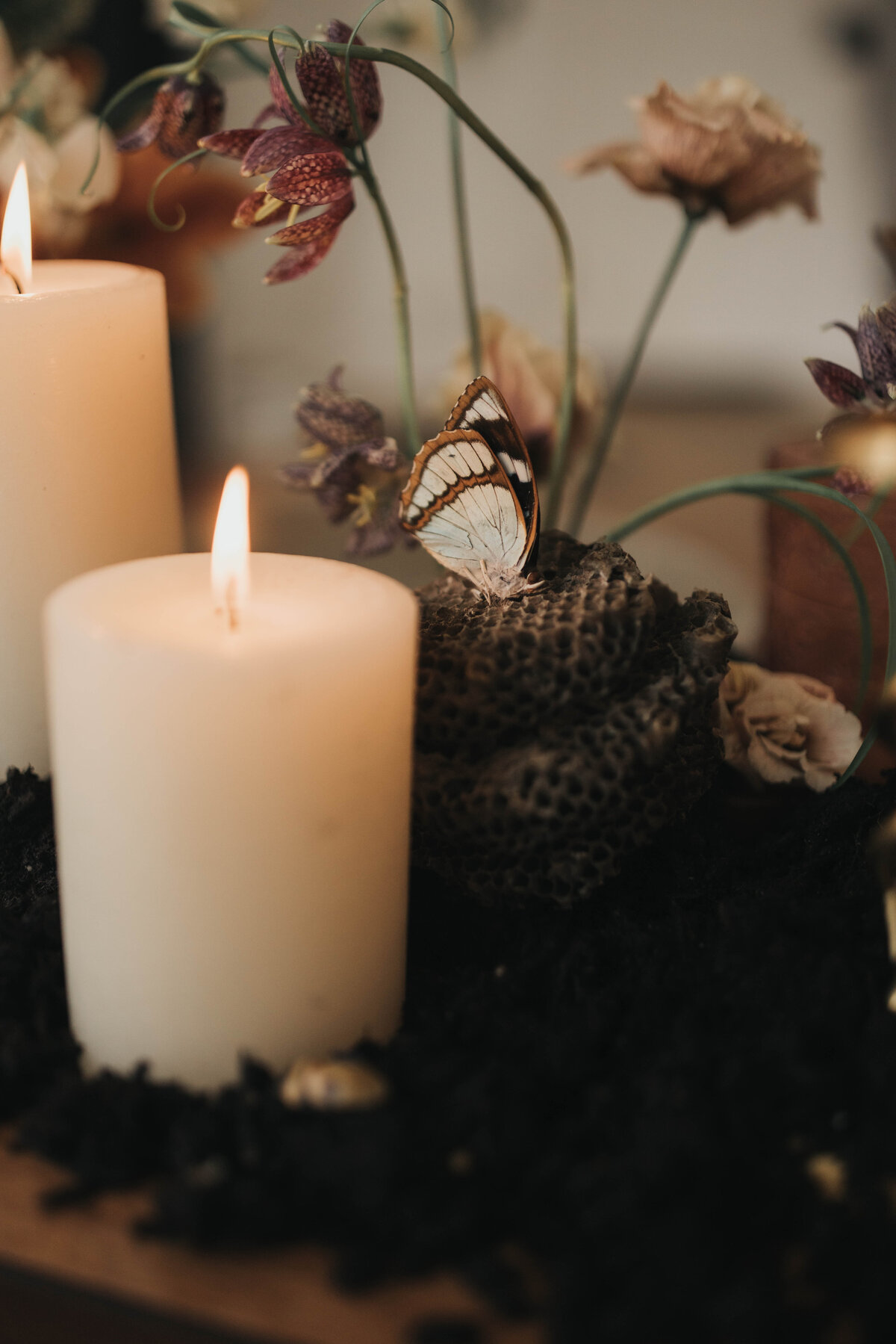 This Lovely Light-0228