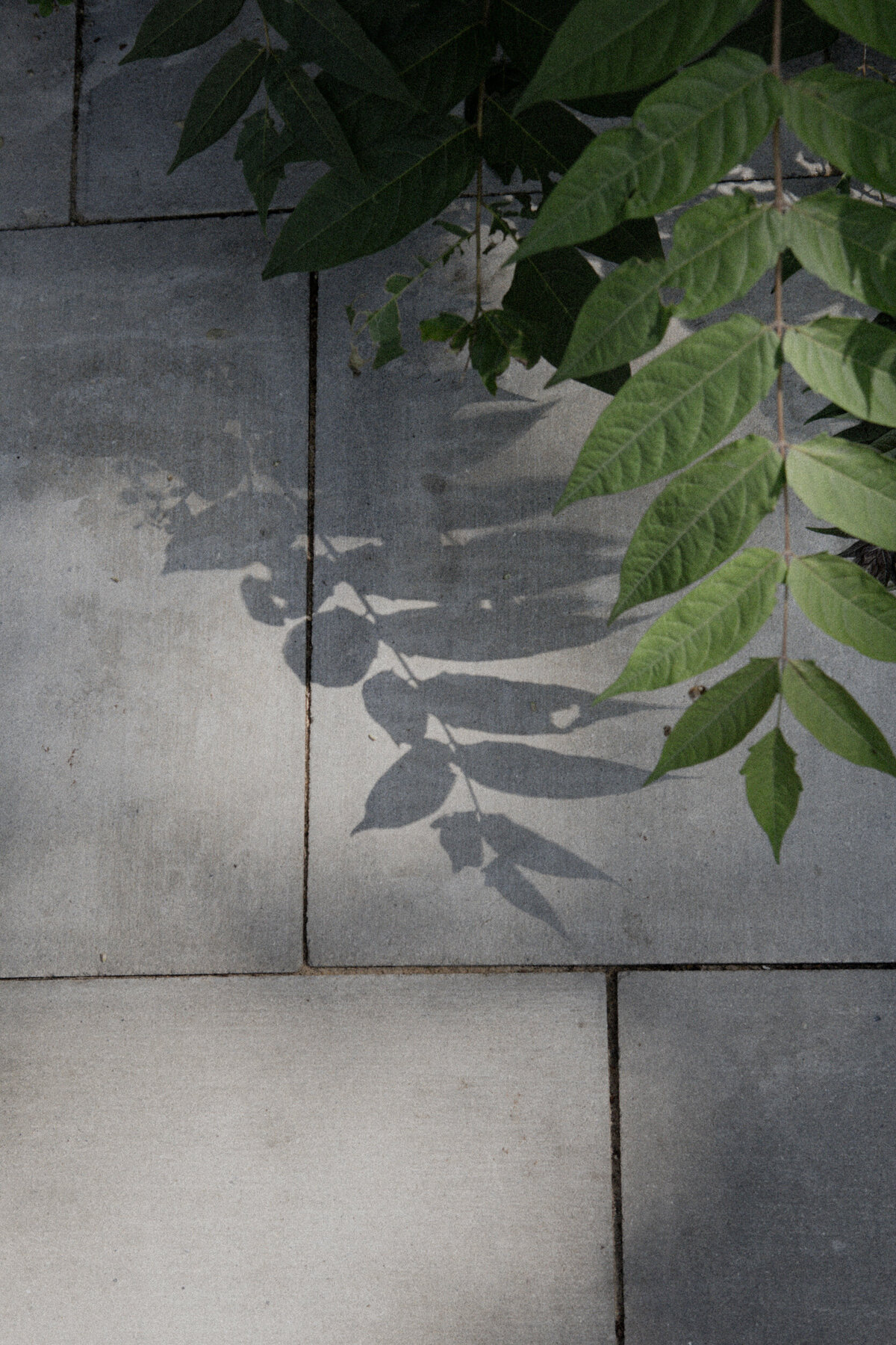 Anh-Marlene-20250808-032