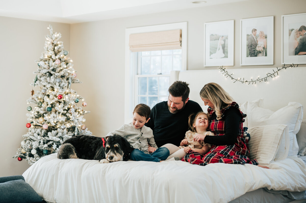 DSC_4698-Enhanced-NR