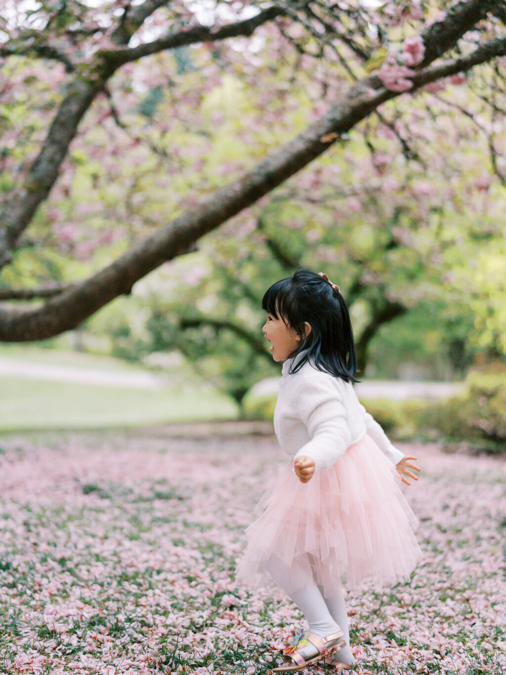 Tanya Zagumenov Washington Park Arboretum Seattle Maternity Session Yanjin-106