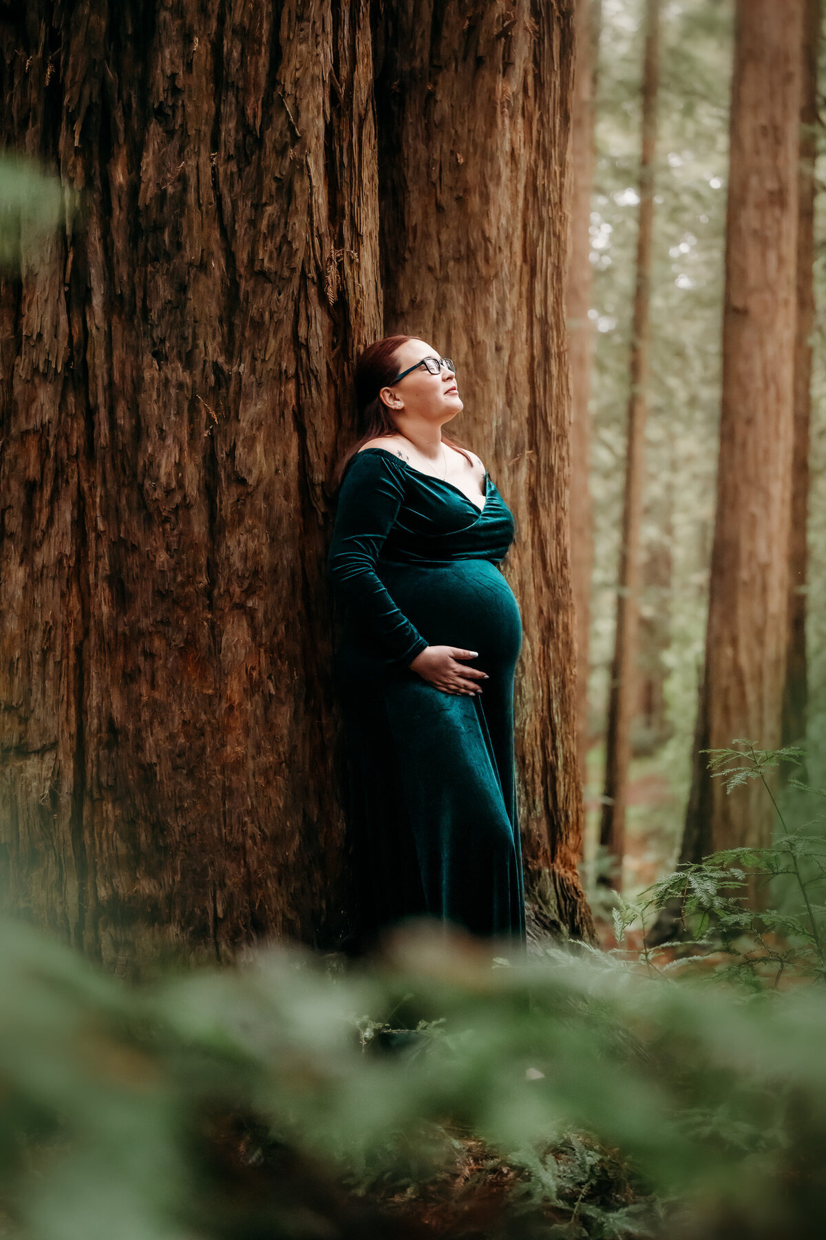 pregnant mom in green velvet maternity dress in the dramatic east bay redwoods
