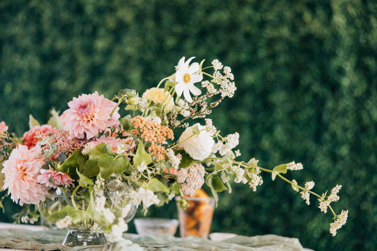 janellesphoto-229