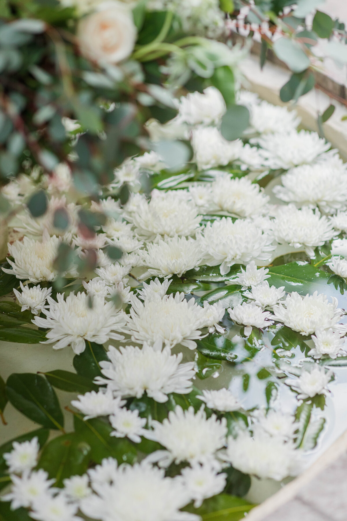 elegant-inn-of-the-seventh-ray-wedding-41