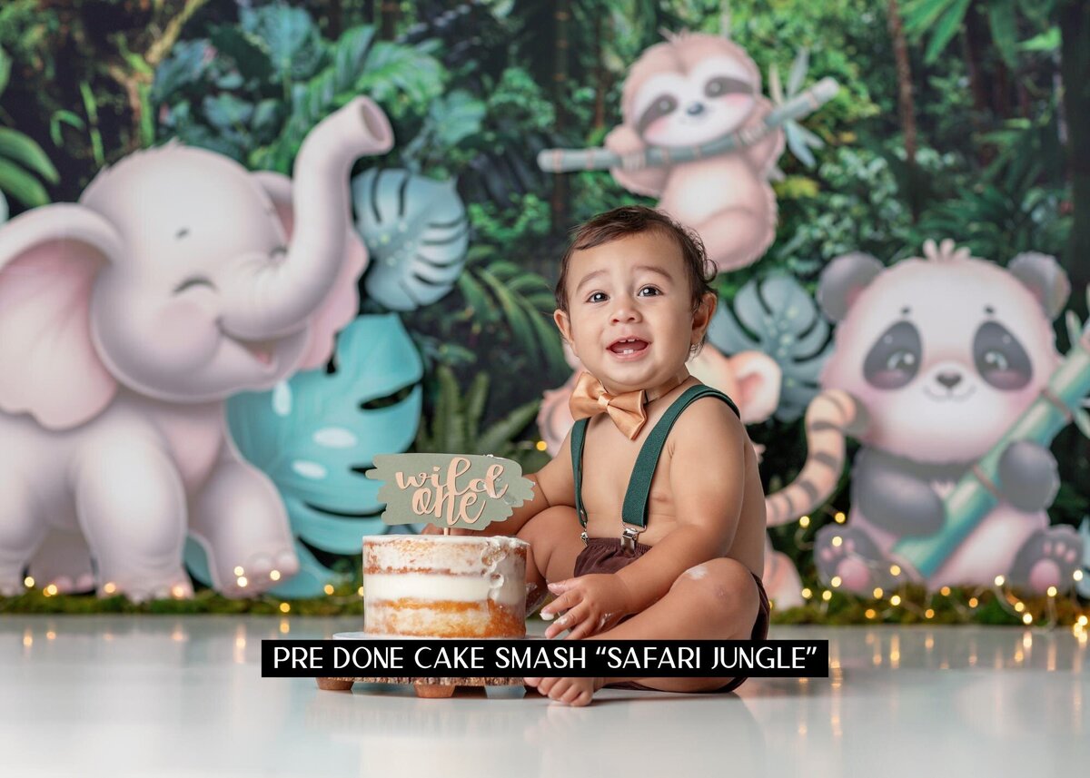 Cake Smash Safari Jungle