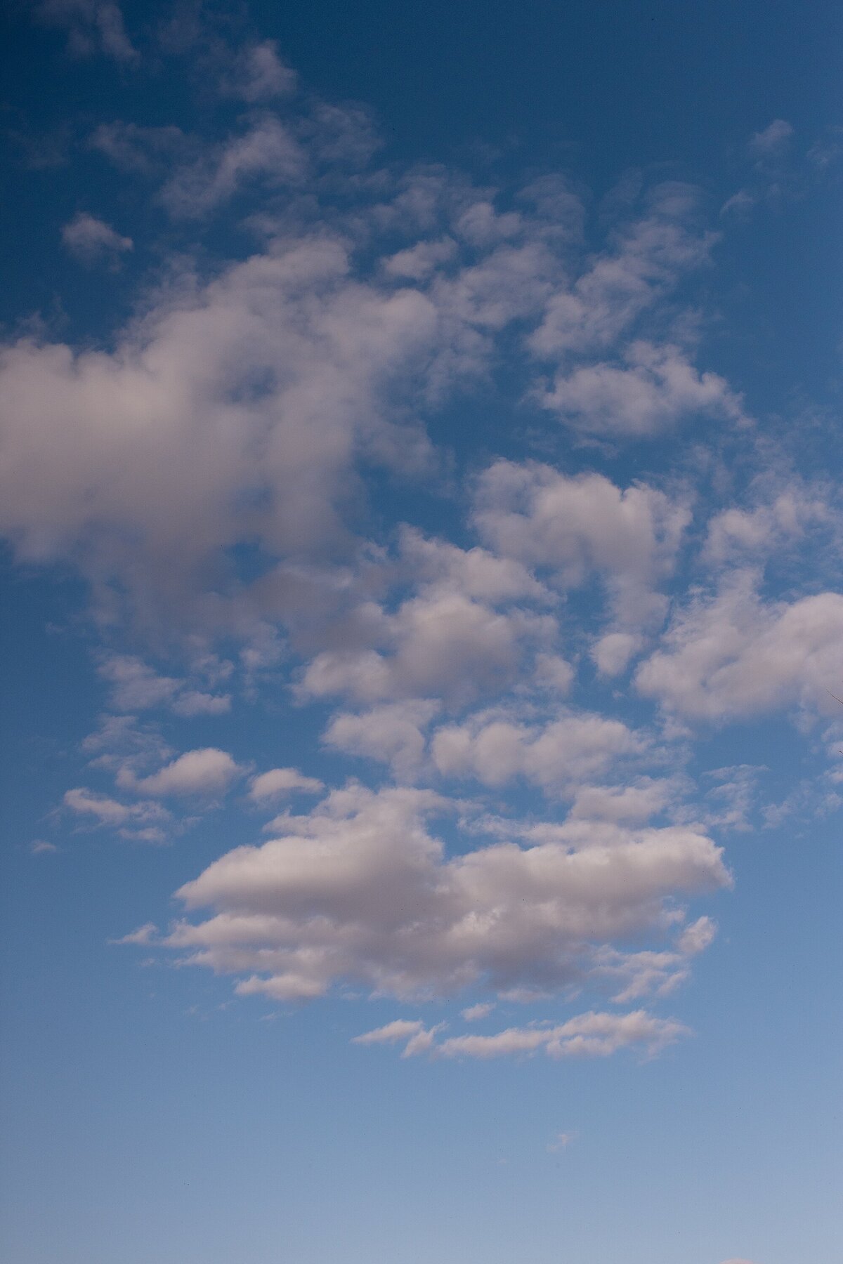 LUXURY_WEDDING_NEBRASKA_PHOTOGRAPHERS_0048