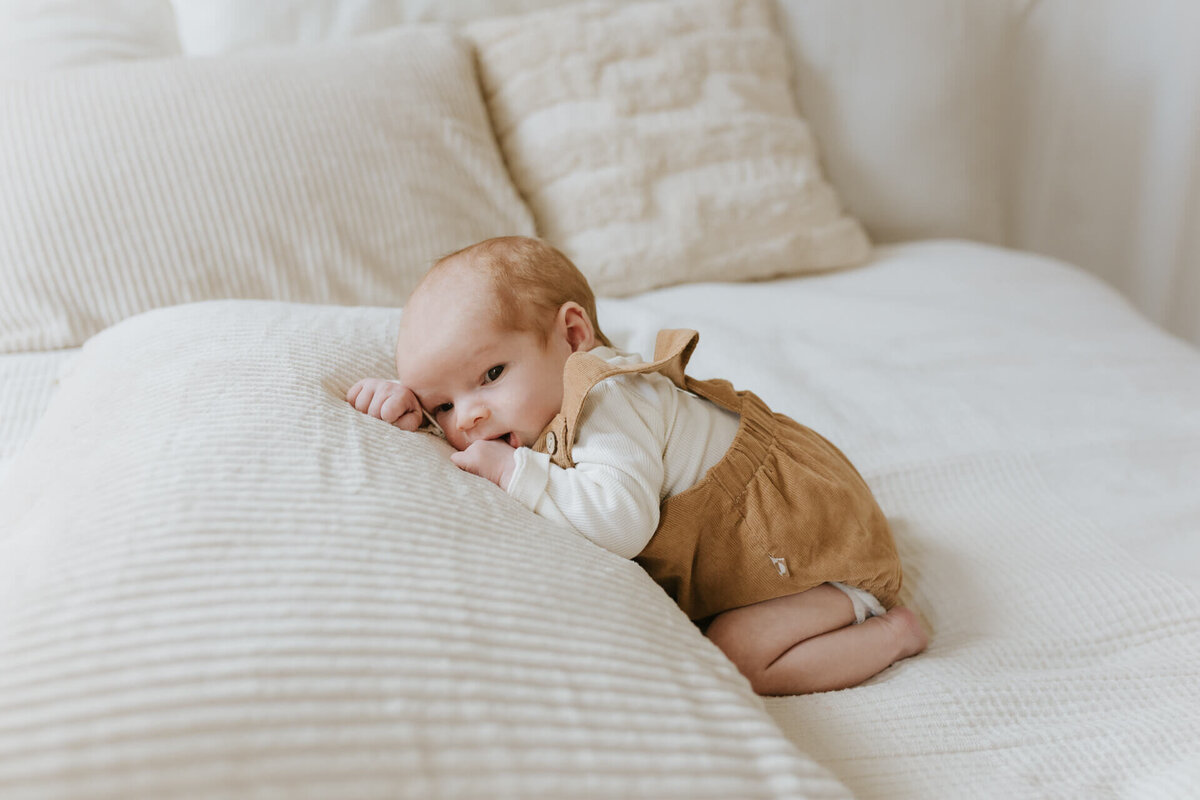 newborn fotograaf - Sint-niklaas - pictures by jess