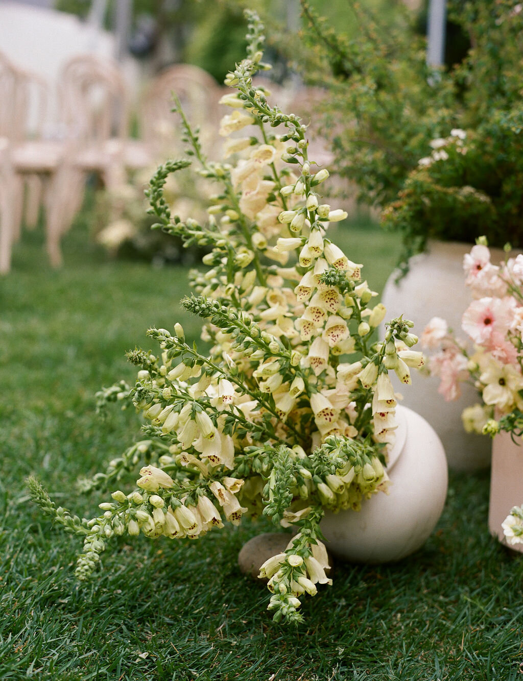 AnnaCalvin-Wed2025-492