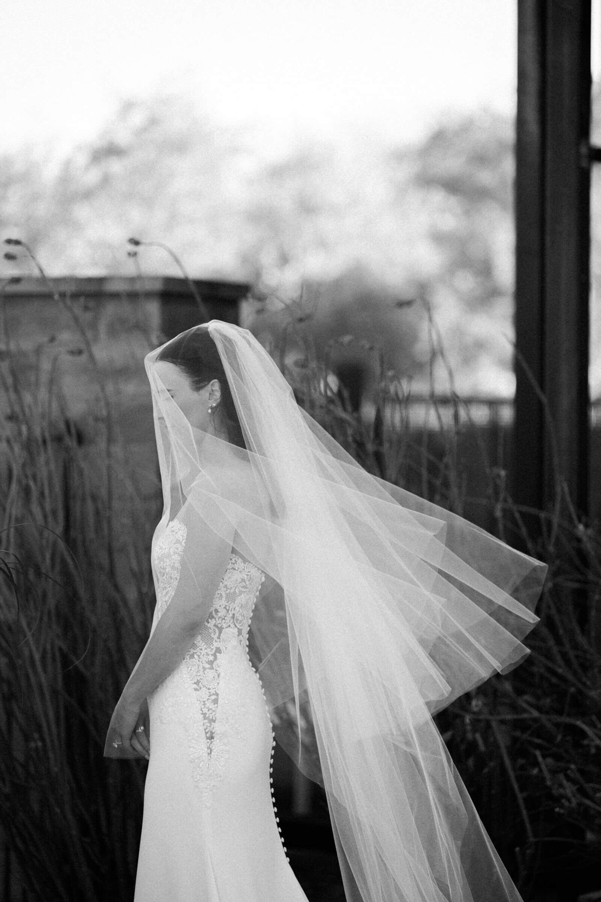 Bride in lace wedding gown with flowing veil captured by Arizona wedding photographer during a romantic outdoor wedding in Scottsdale, AZ.