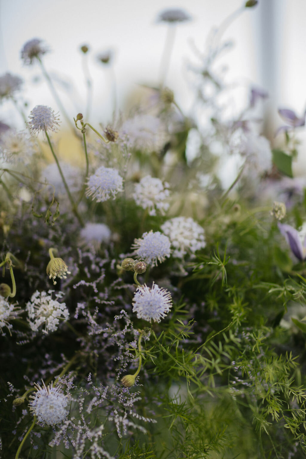 85_Emily_Jason_Hummingbird Nest Ranch_ Wedding_Alison Rose Events_Wedding Planner