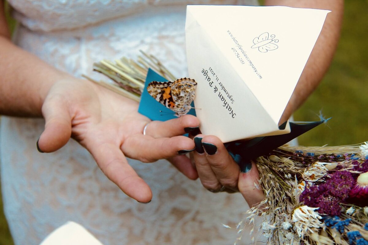 shapleigh-maine-wedding