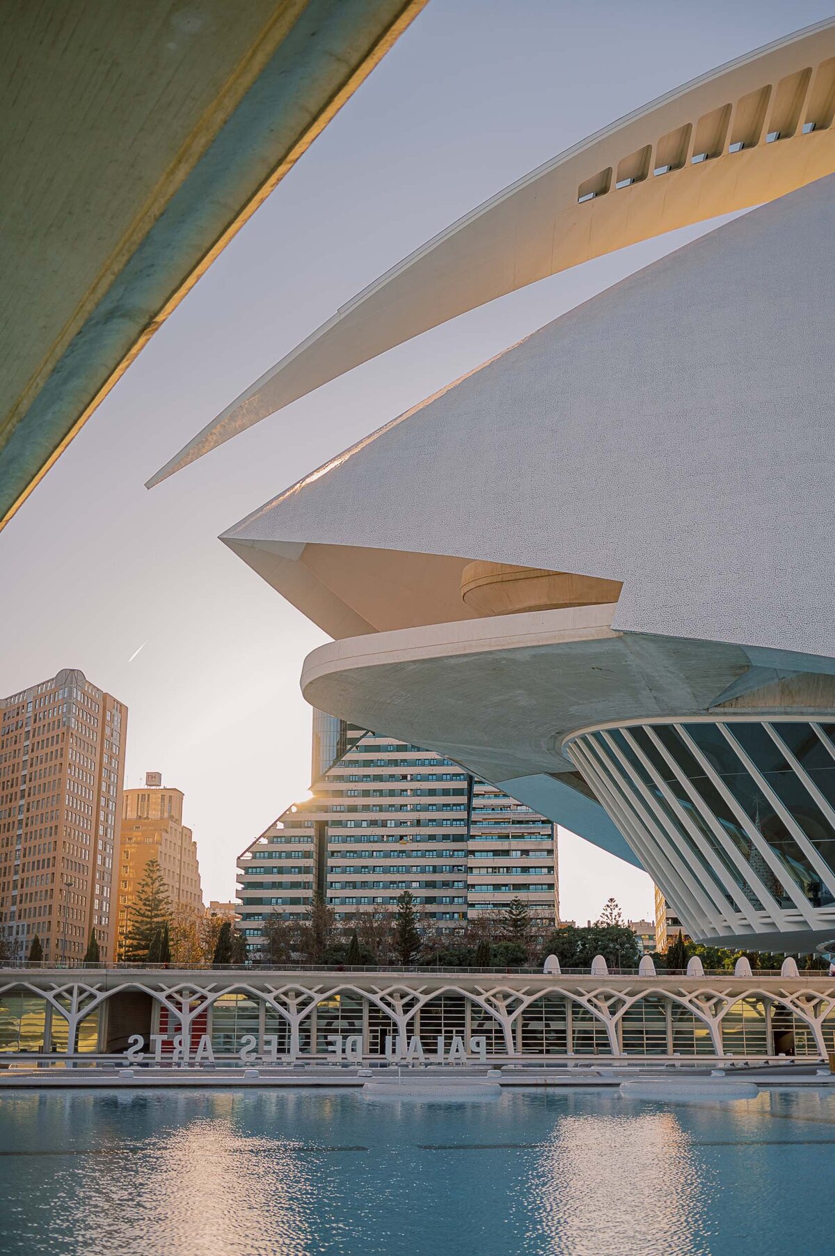 marriage-proposal-valencia-locations-10