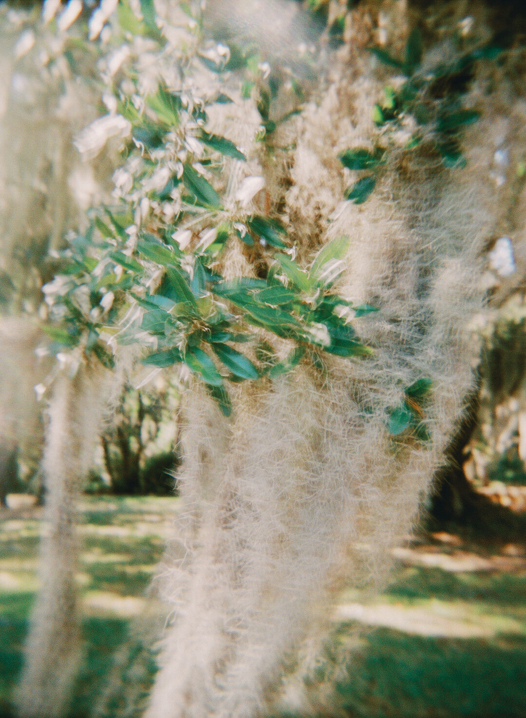 Charleston-South-Carolina-Wedding-Photographer-0005