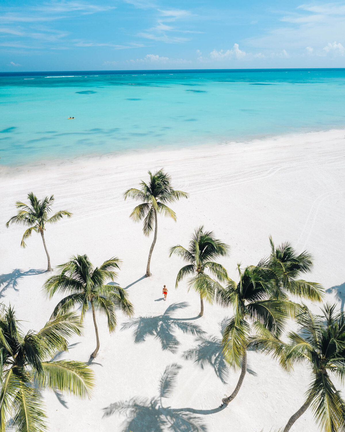 Hyatt-Ziva-Cap-Cana-Aerials (1)