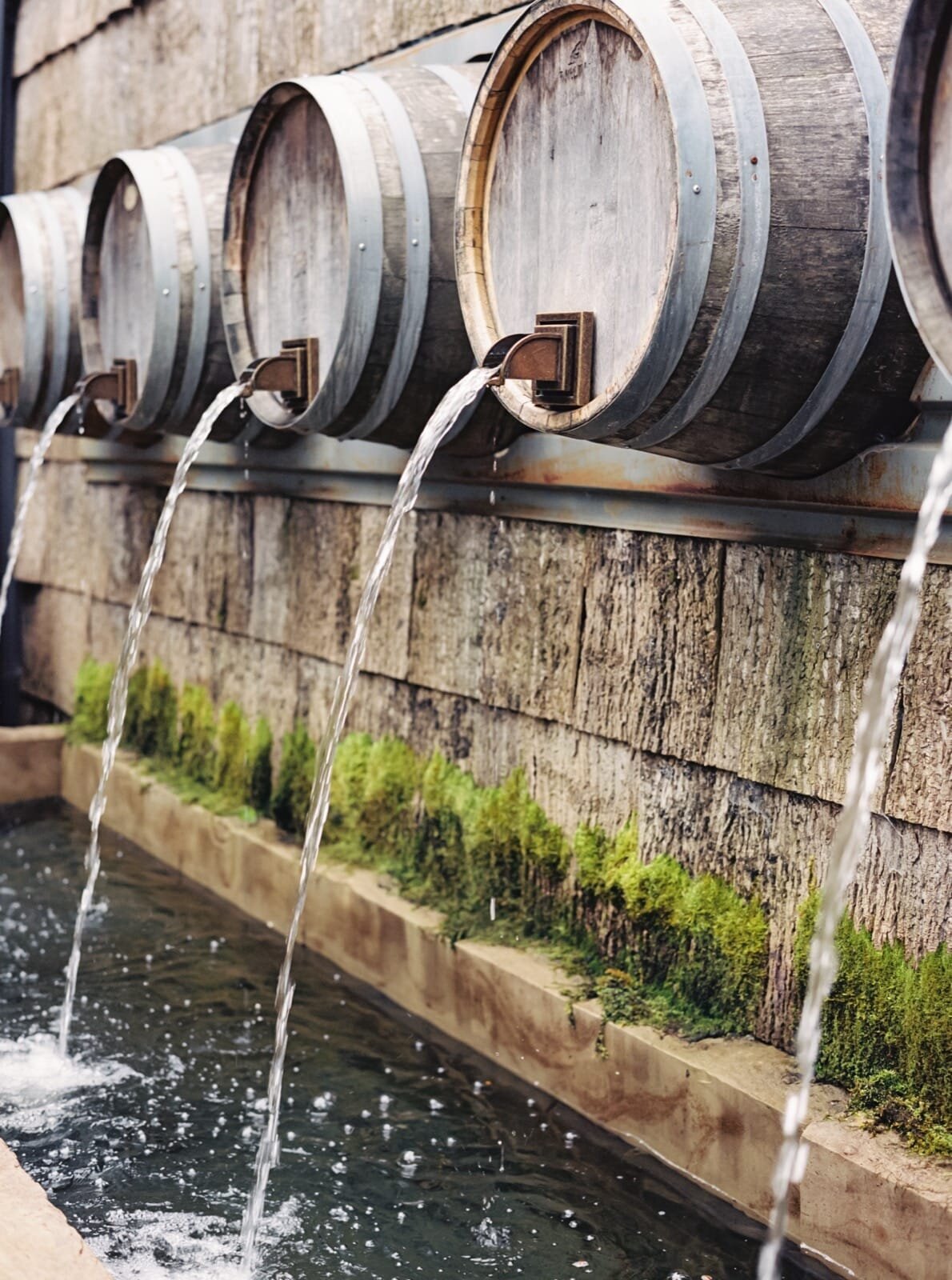 2024_07_06 Tessa & Inyang Wedding-web-00011