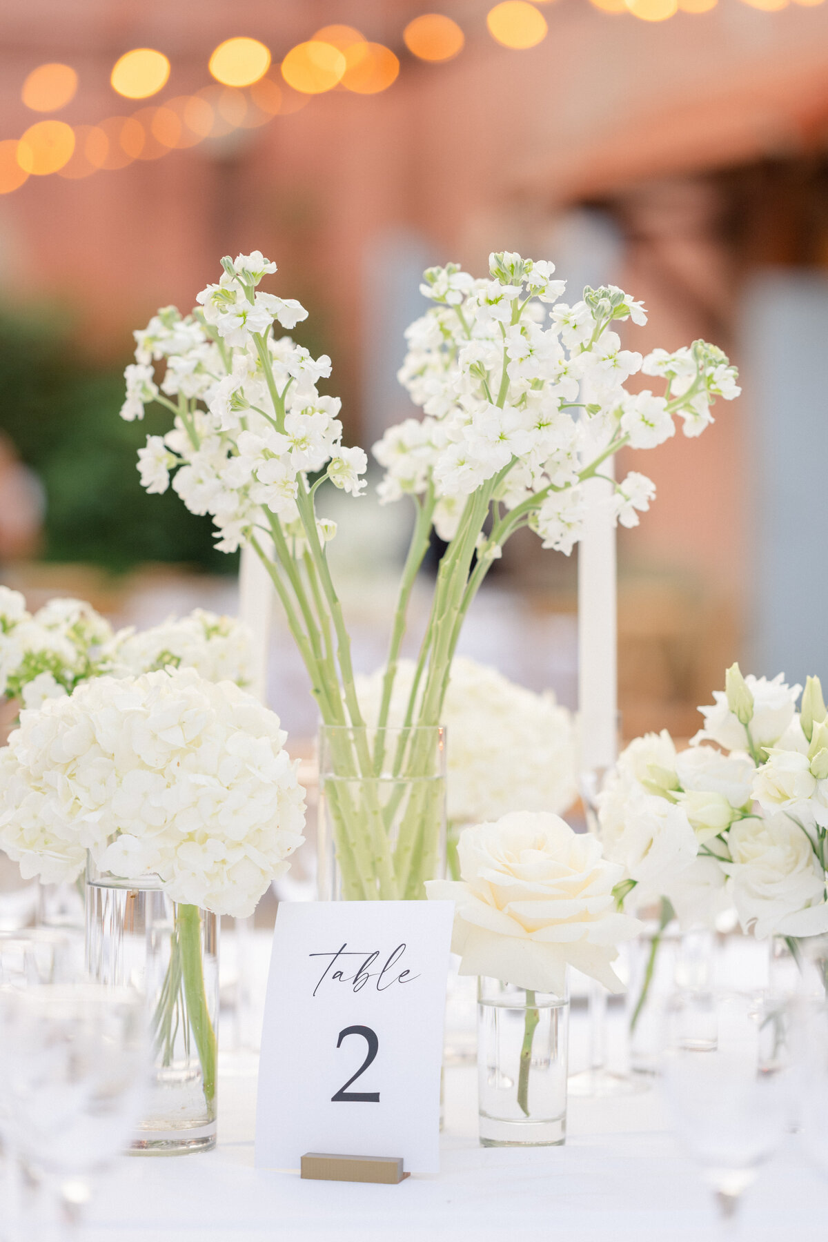 Nicolette and Chase_Wedding-1090