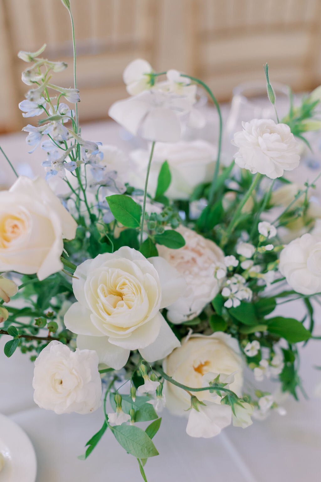 KatieTraufferPhotography-MaggieandNicoWedding-700