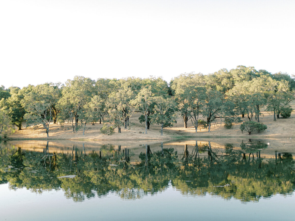 napa-sonoma-bay-area-wedding-photographers-the-tenneys-at-private-estate-wedding-45