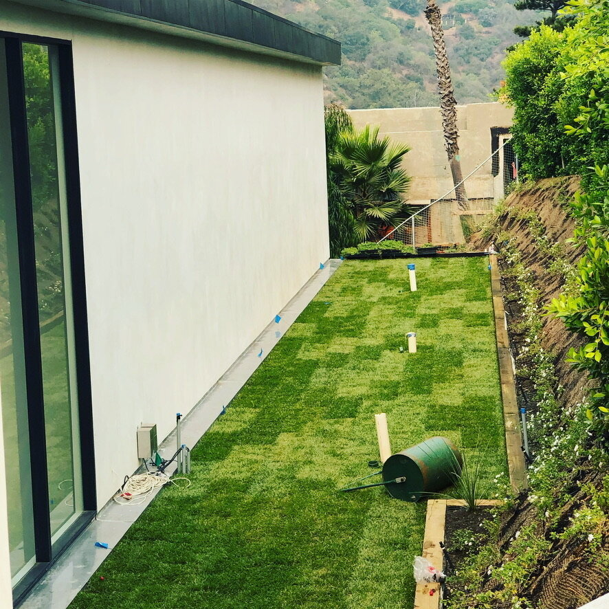 F8D5DCC8-078D-40F6-A4FC-F9C0D07E2DE8_1_105_c