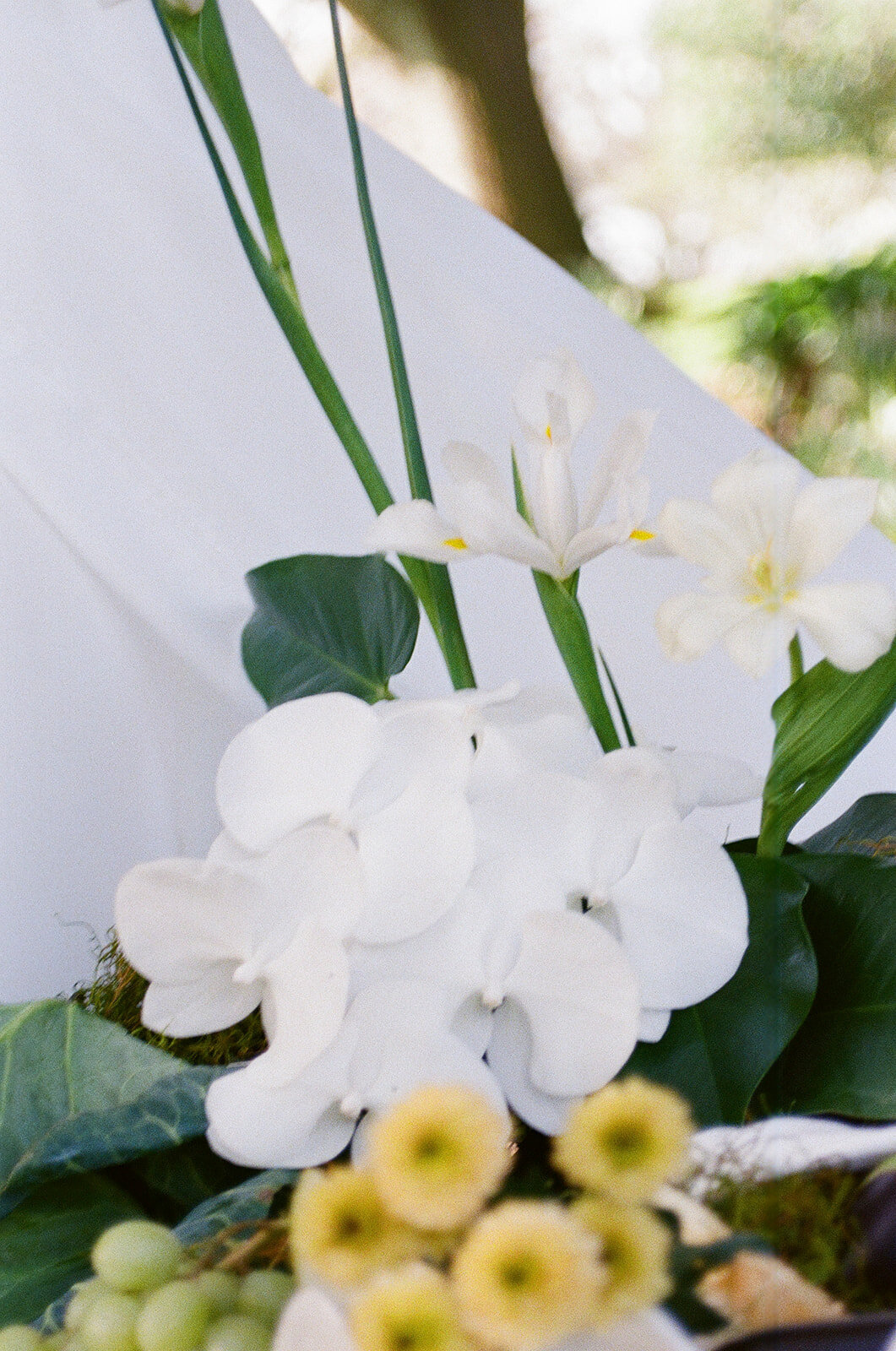CURATEWEDDINGSFILM44