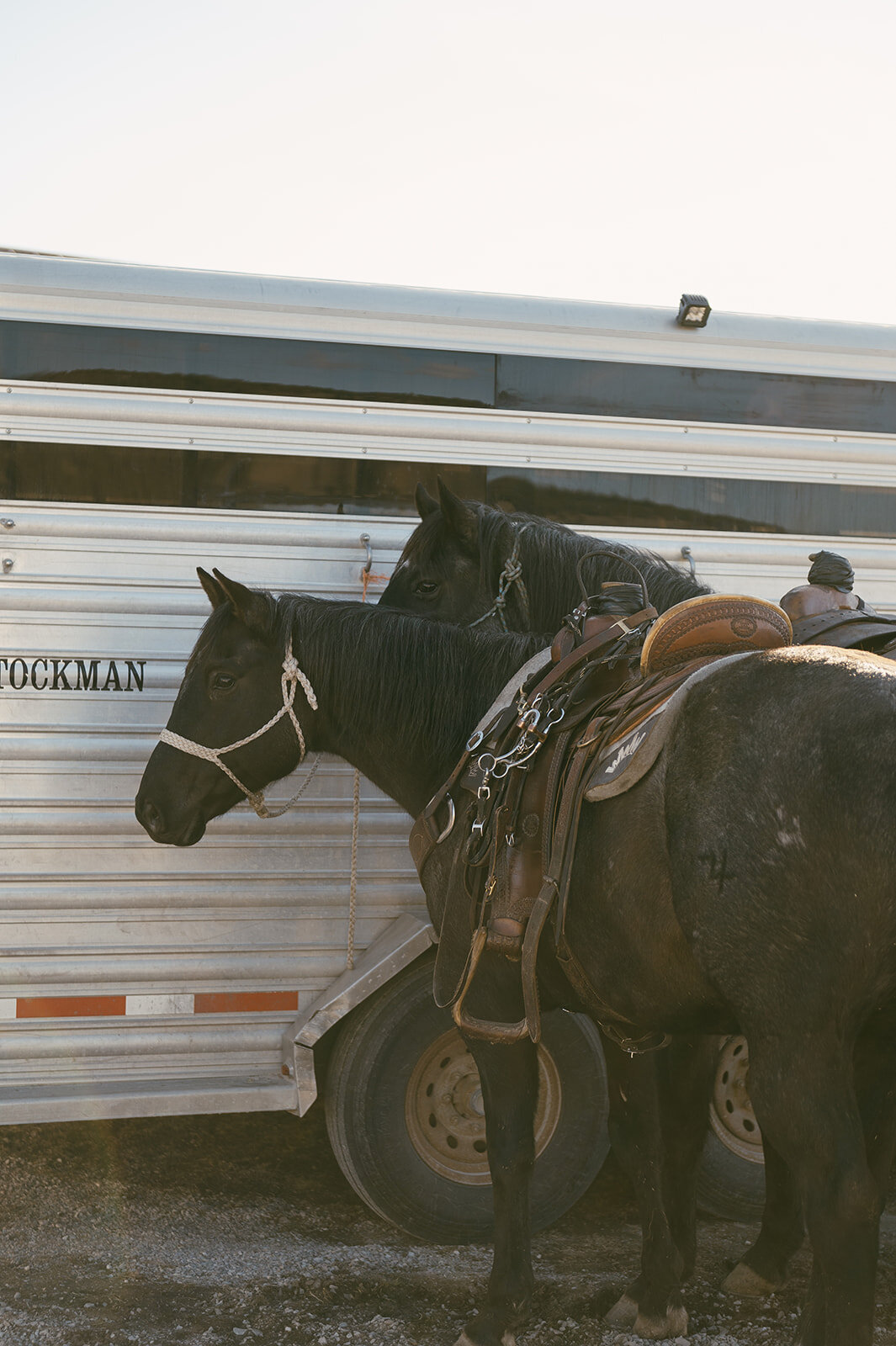 presley-gray-photo-montana-western-ranch-couples-photoshoot-1475
