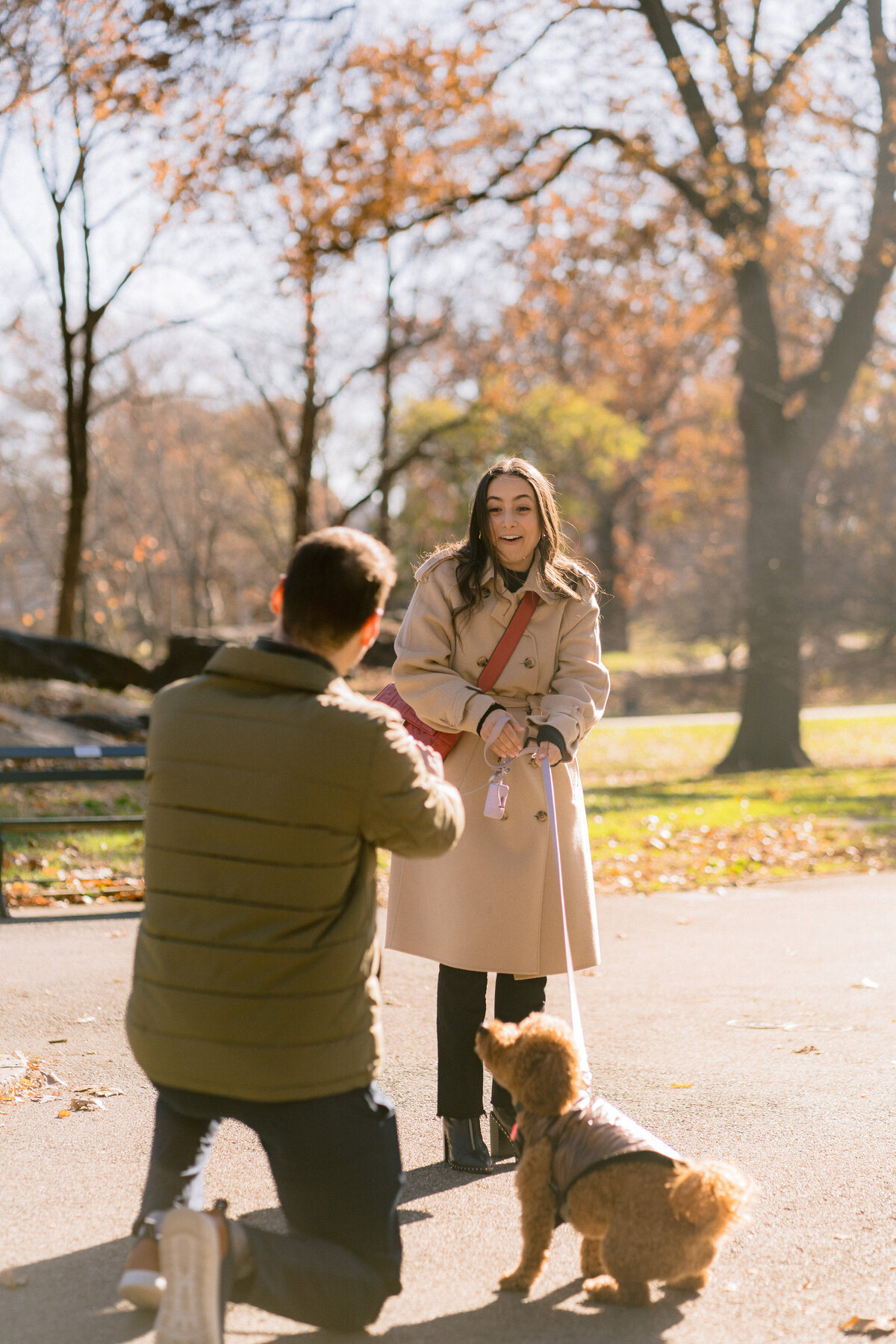 Ledah+RyanProposalFinalEditsFrancescaLeePhotographyBrooklynWeddingPhotographer-2