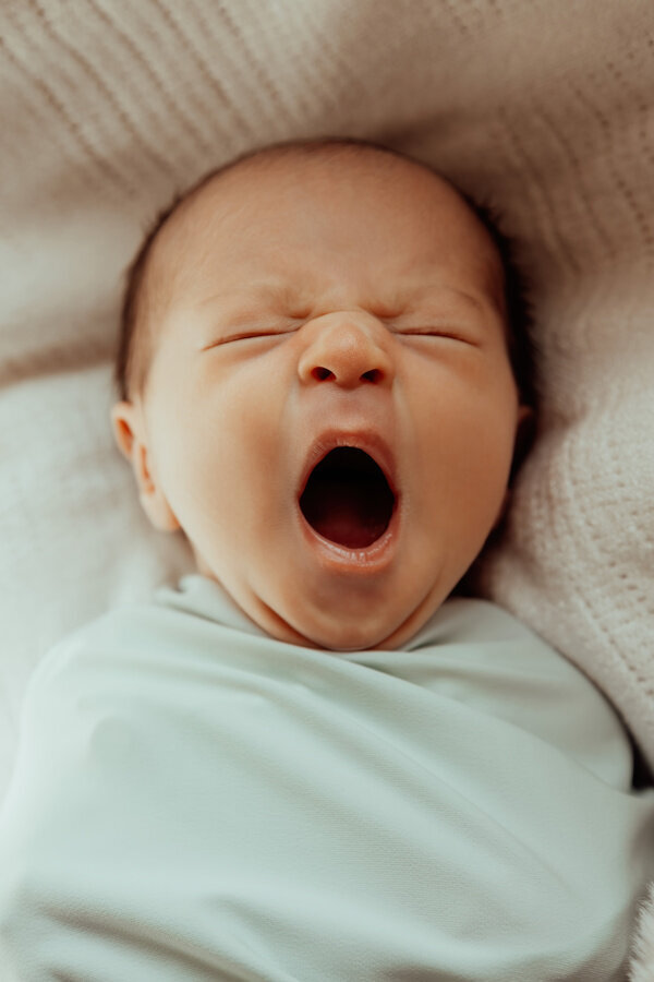 FullBloom_RollensNewborn_-28