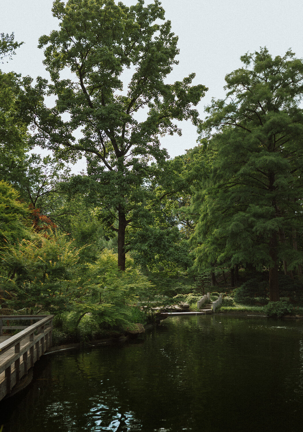 fort-worth-botanic-gardens-engagement-16