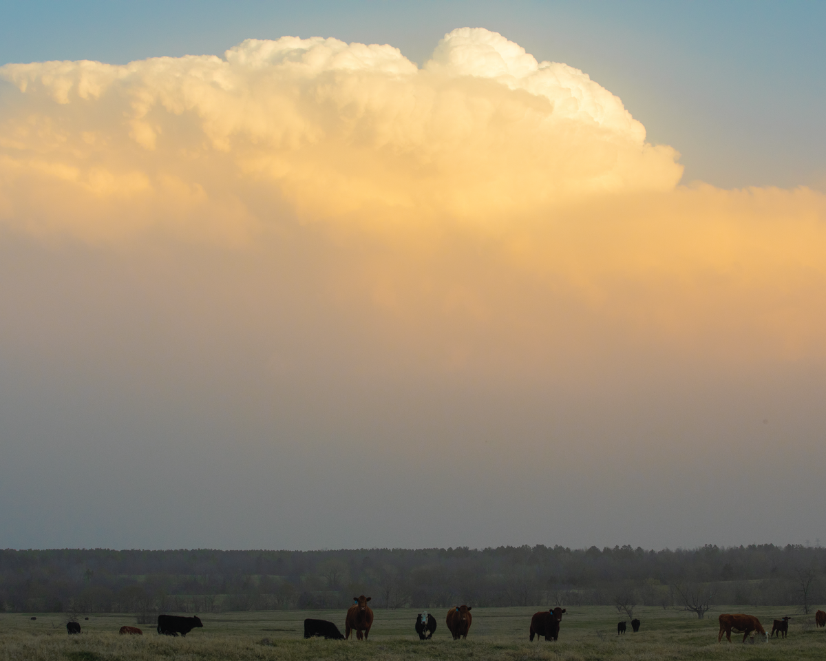 Landscape Photo