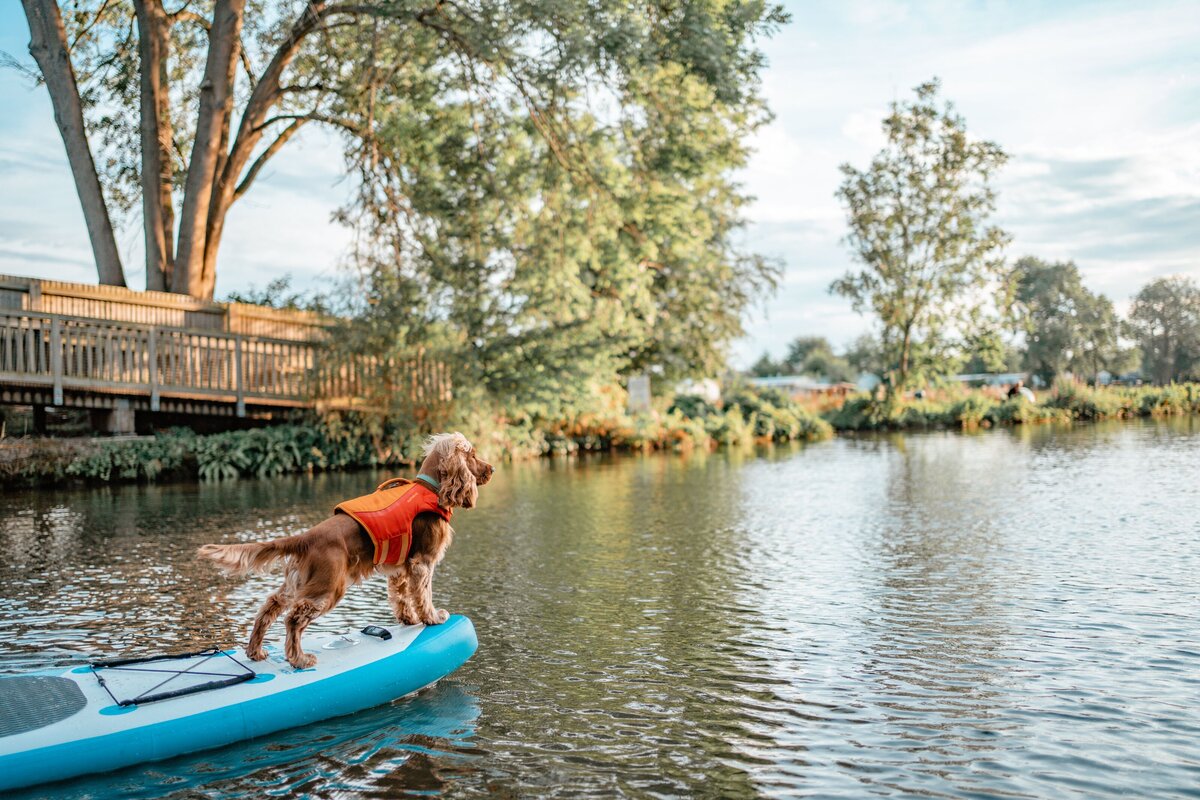 Otis SUP Boarding in Marlow 2 - Lucy Darby Photography