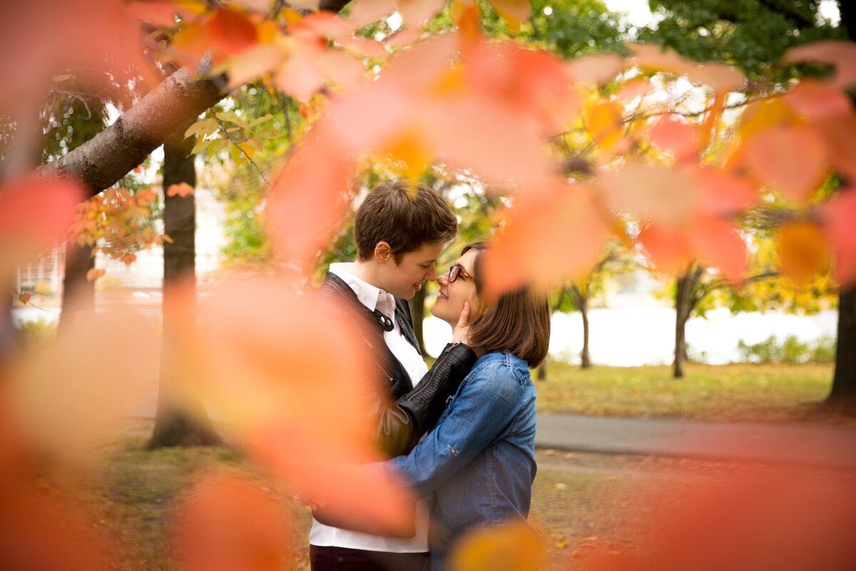 Image taken through leaves of a couple about to kiss.