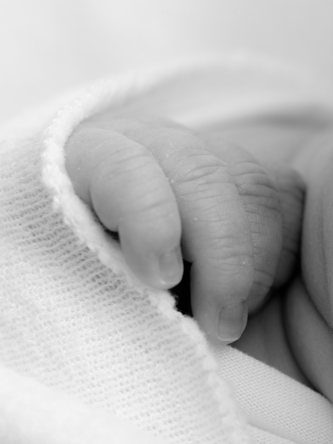 black and white close up photo of newborn baby fingers