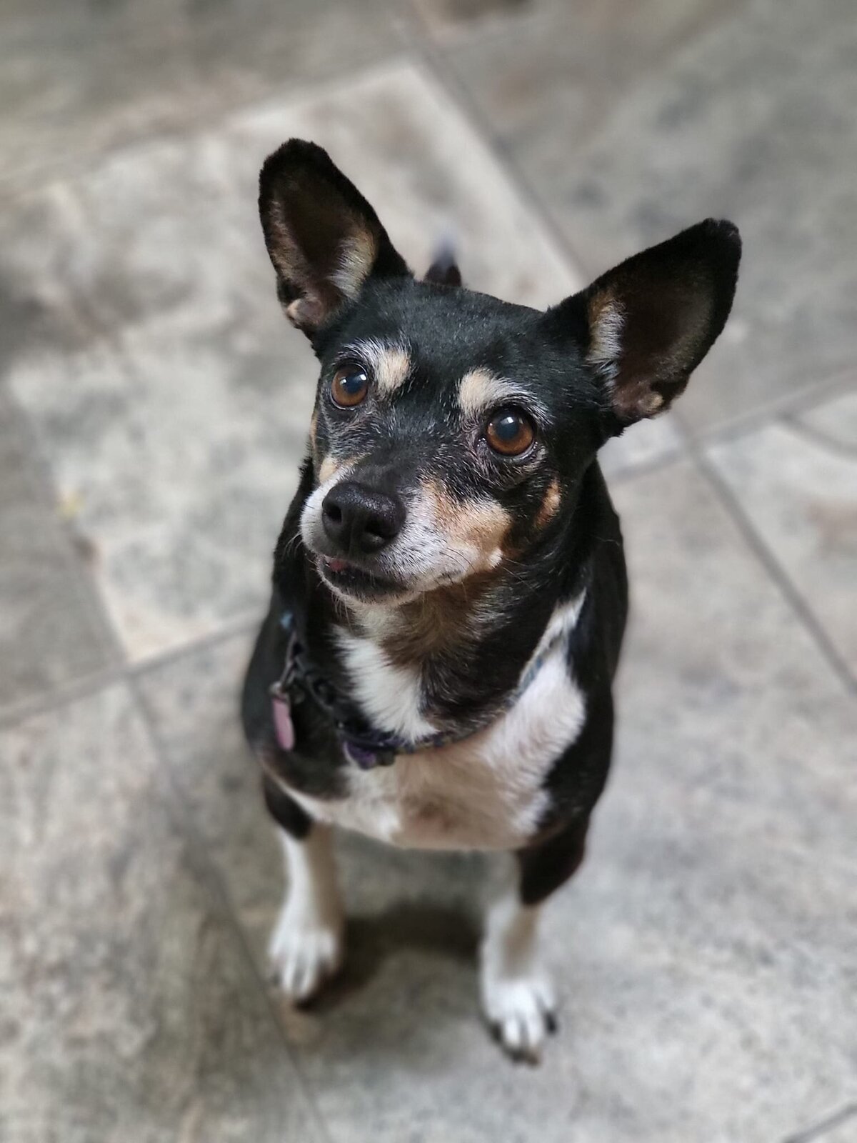 Bindi